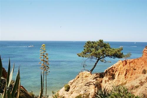 Apartamento Almerinda Albufeira Exteriör bild